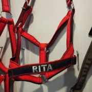 Kantar dla konia imienny z haftem 