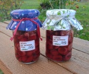 WIŚNIE WE WŁASNYM SOKU (220 g; 5,8% cukru) - W NASZEJ SPIŻARNI