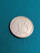 "1 grosz 1995 rok"