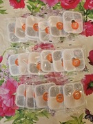 Zestaw 17 filtrów do fonatnny Catit Pixi