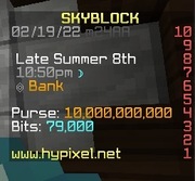 HYPIXEL SKYBLOCK COINSY 1mln = 90gr