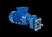 Silnik elektryczny z przekładnią paszową