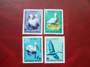 Bułgaria 1984 MNH Fauna Ptaki Pelikany WWF