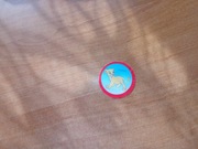 Karta żeton papierowa papierowy Król Lew Nala Disney znaczek