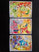 Chikorita, cyndaquil, totodile. Pokemon first partner s.2