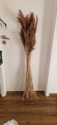 Wysoki naturalny bukiet ok.140cm z traw polnych trzcin