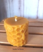 Świeca walec z pszczołą i plastrem z wosku pszczelego