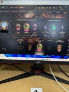 Konto league of legends na własność 200 skinów