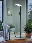 Lampa stojaca eglo Budensea