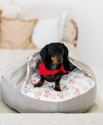 Legowisko norka dla jamnika charta 60 cm S beżowy