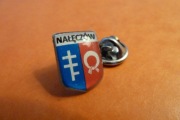Nałęczów Pow. Puławy Herb pin przypinka 