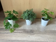 Trzy małe sztuczne rośliny ikea fejka