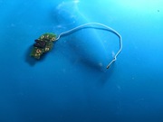 Antenka z złączem Jack do OPPo Reno 4z 