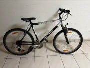 Author Profile SX, rama 19,5