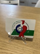 MISTRZOSTWA ŚWIATA W PIŁCE NOŻNEJ FRANCJA 1998 98 