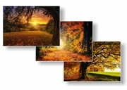 Plakaty *NATURA* zestawy 3szt. A3+ szer, zestawu 145cm,