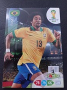 WORLD CUP 2014 DANTE 49