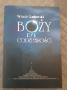 Boży pył codzienności Witold Gadowski