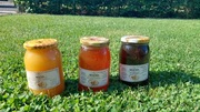 MIÓD z przydomowej pasieki świeżo odwirowany – maj/czerwiec 2024