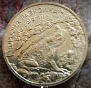 2zł Ropucha paskówka z 1998r. .