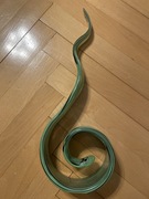 Rzeźba ze szkła artystycznego