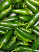 Papryczki Jalapeno 