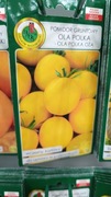 Pomidor gruntowy OLA POLKA 1g