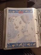 Karteczka do segregatora duża