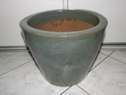 Donica-oblewana niebiesko-szara mrozoodporna