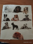 Naklejki zwierzę Psy (1)
