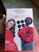 Wieczna róża czerwona 