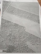 Sprzedam ziemię pod zalesienie 