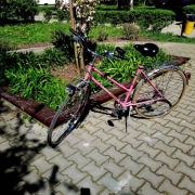Rower Romet Kometa specjal damka - zabytek