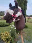 Hobby Horse na kiju 
