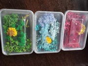 Suszone kwiaty do rękodzieła, do ozdoby, czerwone, zielone, niebieskie