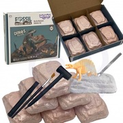 Wykopalisko 6w1 Dinozaur Szkielet Mały Archeolog 6 szt.