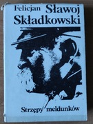 Składkowski Sławoj Felicjan - Strzepy meldunków