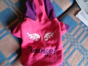 Kombinezon kurtka dla psa