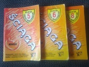 Ściąga dla klas 5, 6 i 8 szkoły podstawowej (Zestaw) 