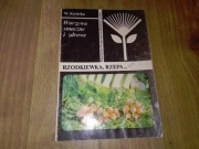 Warzywa smaczne i zdrowe Rzodkiewka rzepa Wanda Kryńska Poradnik PRL