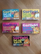 Komiksy Garfield w języku angielskim.