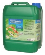 Antyglon 0,5l z baniaka