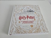 Harry Potter Cinematic Gallery książka do kolorowania premium