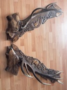 Rogi Jelenia Poroże