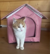 Zimowe schronienie dla kota, różowy domek na każda pogodę!!!
