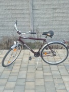Rower enik noblesse