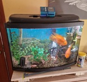 Akwarium 60L + rybki
