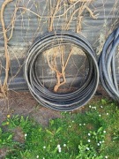 Kabel Energetyczny XRUHAKXS 1x120/50 12/20kV /Bębnowy