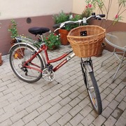 Rower Damka na 16 kołach