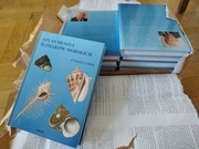 Atlas muszli ślimaków morskich 5 sztuk WYPRZEDAŻ